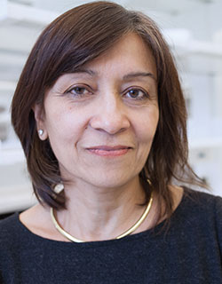 A photo of Nina Bhardwaj, MD, PhD