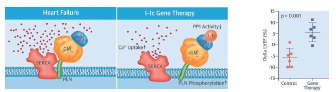 Gene therapy inhibitors